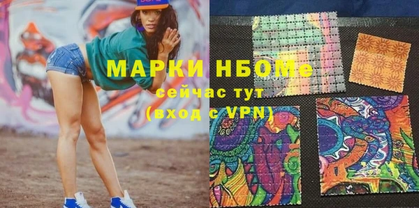 сатива Покачи