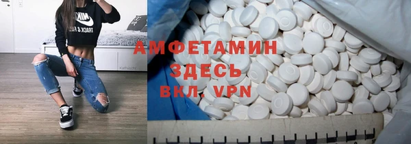 сатива Покачи