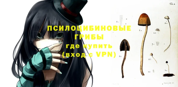 сатива Покачи