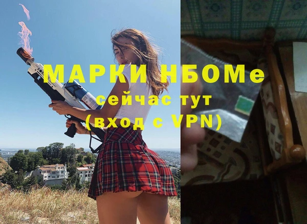 сатива Покачи