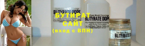 сатива Покачи