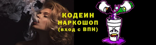 сатива Покачи