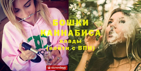 сатива Покачи