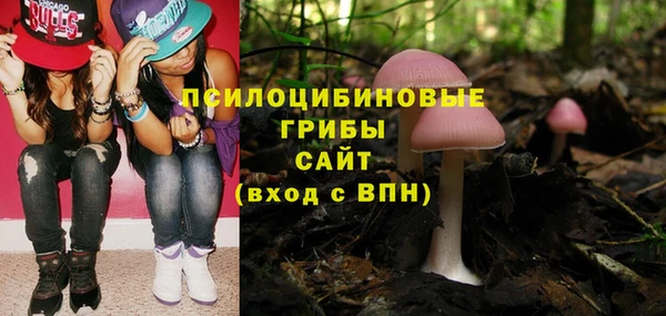 тгк Покров