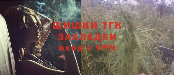 сатива Покачи