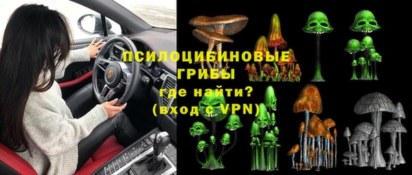стаф Покровск