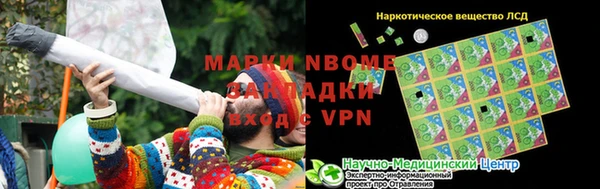 сатива Покачи