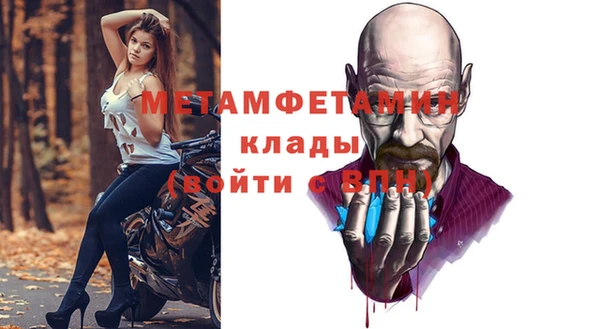 сатива Покачи